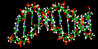 DNA image